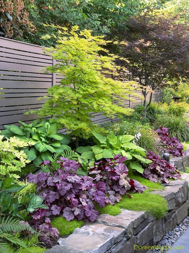 Creating a Beautiful Shade Garden: Design Tips for a Tranquil Outdoor Oasis