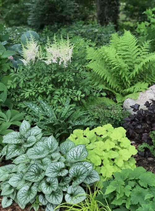 Creating a Beautiful Shade Garden: Tips for Design and Plant Selection