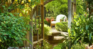 home garden design