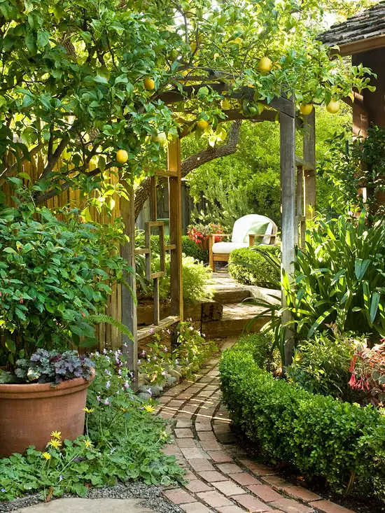 Creating a Beautiful and Functional Home Garden Layout