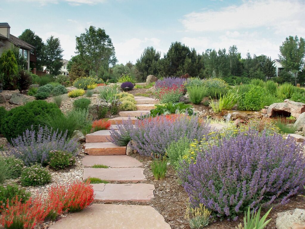 backyard xeriscape ideas