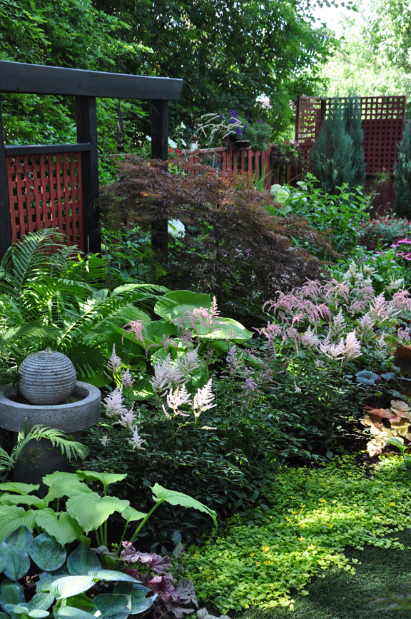 Creating a Beautiful and Tranquil Shade Garden
