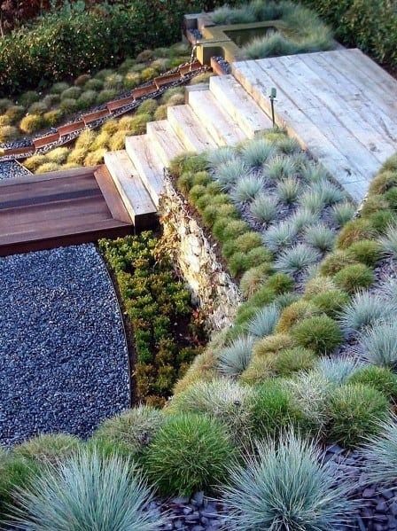 Creating a Beautiful and Water-Efficient Backyard with Xeriscape Designs