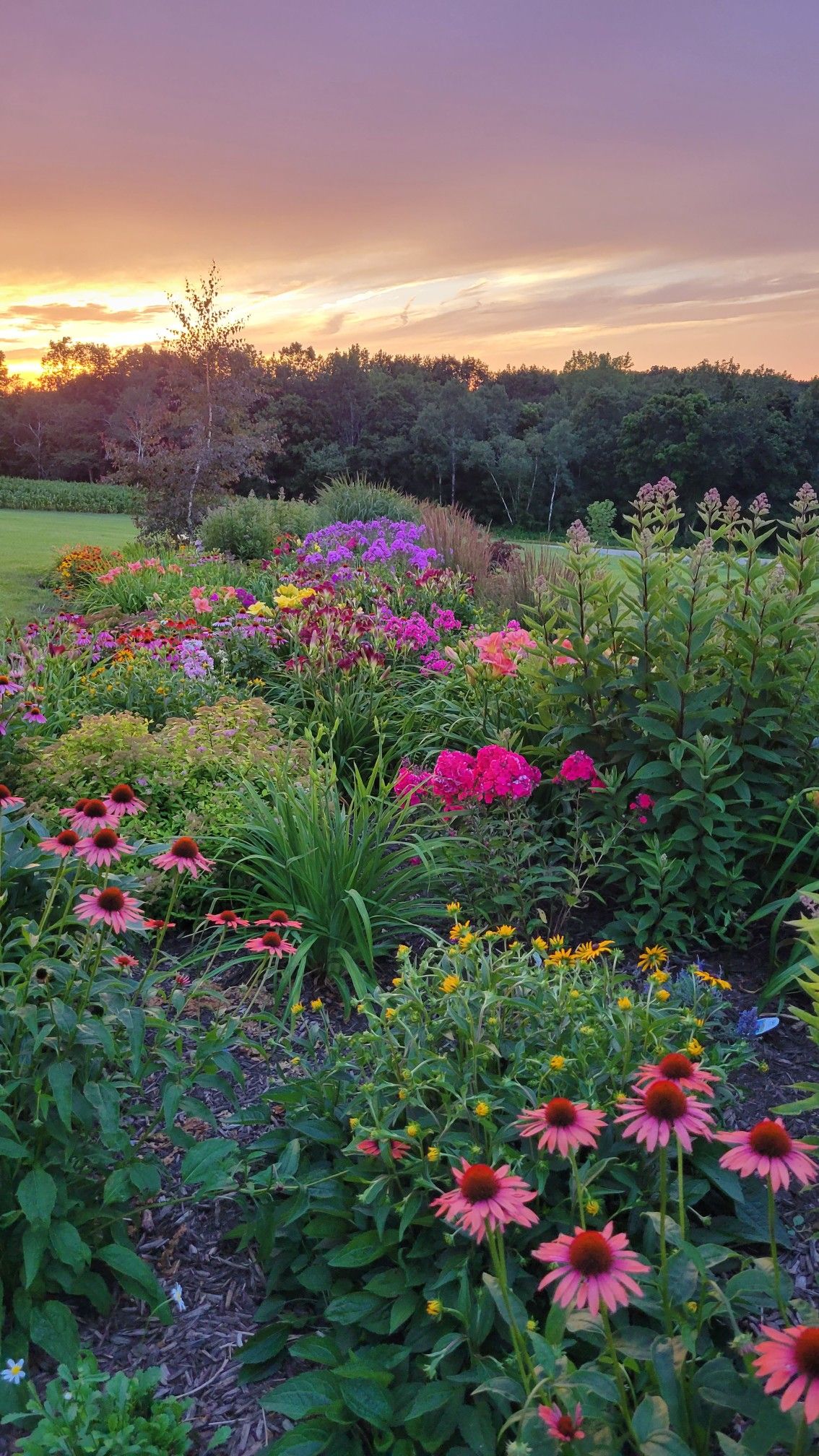 Creating a Breathtaking Flower Garden: Tips for a Colorful and Fragrant Outdoor Oasis