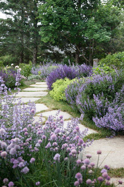 Creating a Breathtaking Garden with a Variety of Beautiful Blooms