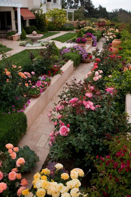 Creating a Breathtaking Rose Garden Layout