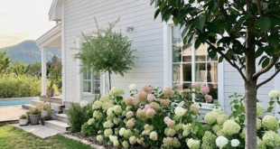 farmhouse landscaping front yard