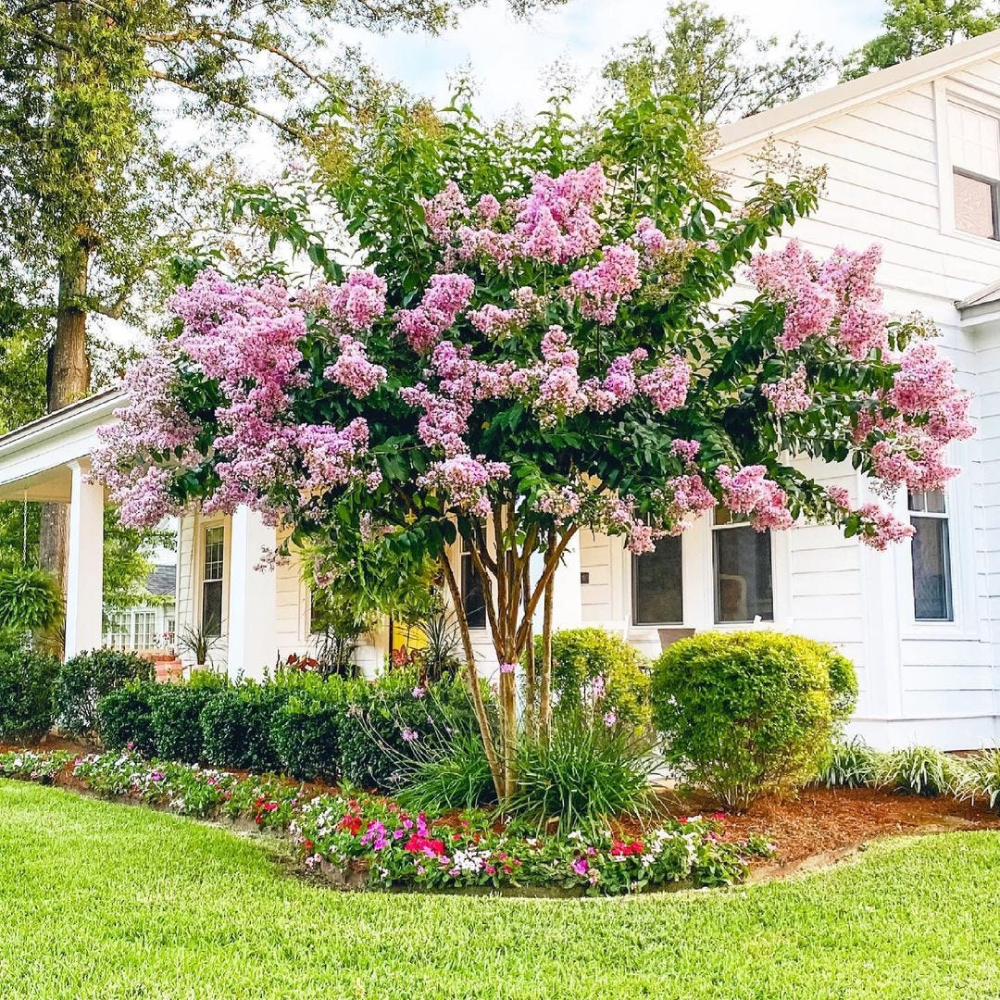 farmhouse landscaping front yard