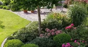 small front yard landscaping