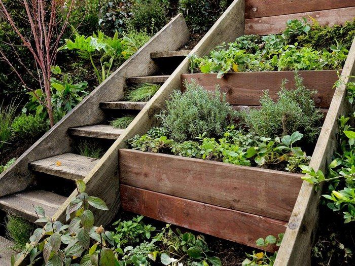 Creating a Charming Retaining Wall for your Small Garden