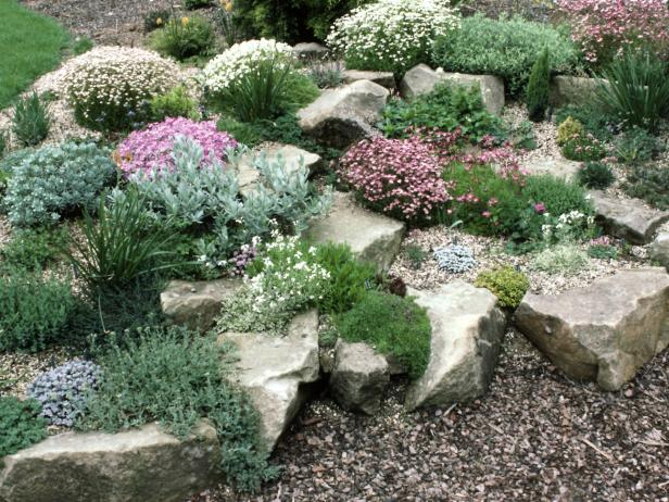 Creating a Charming Rockery Garden in a Small Space