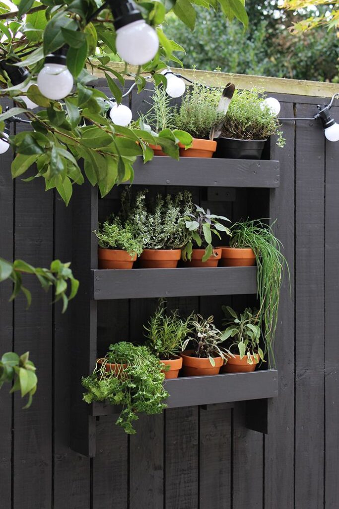 small herb garden planter