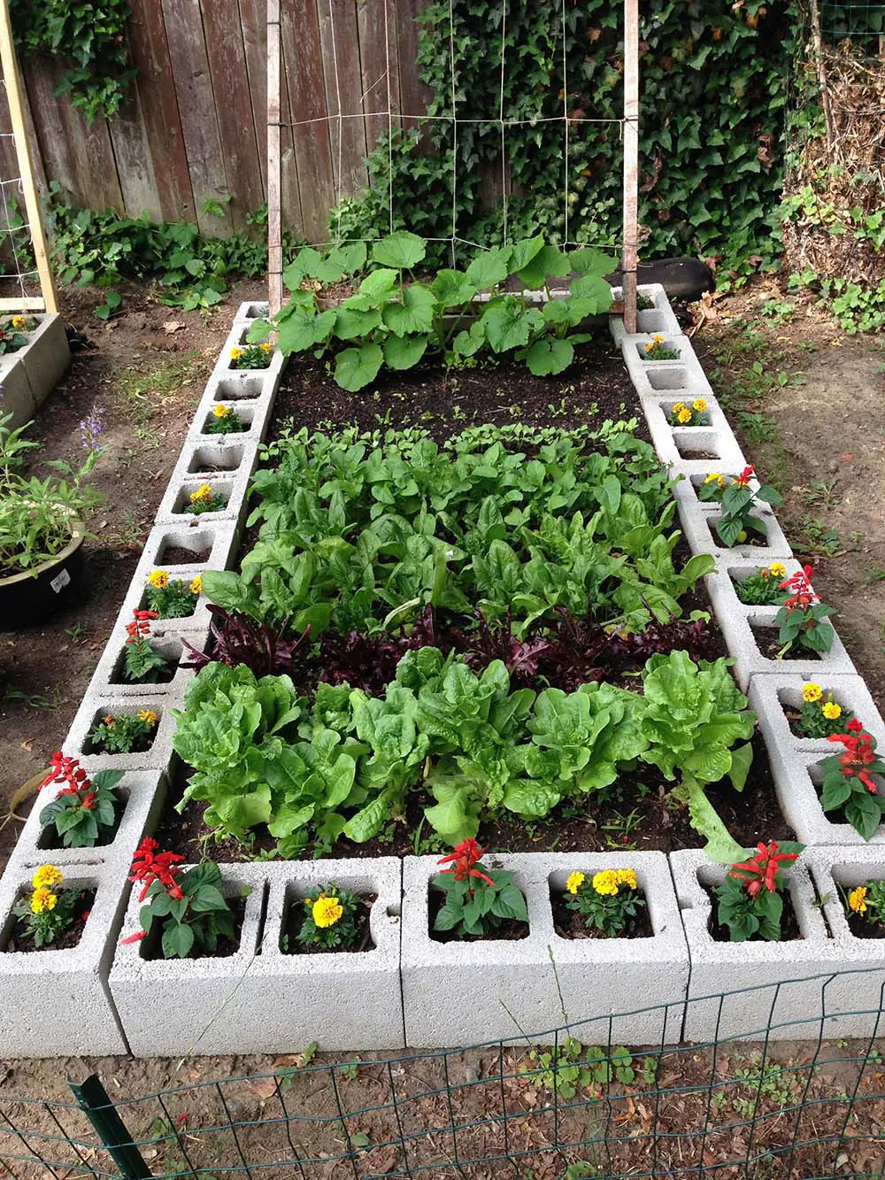 Maximizing Space: Growing a Variety of Vegetables in a Tiny Garden