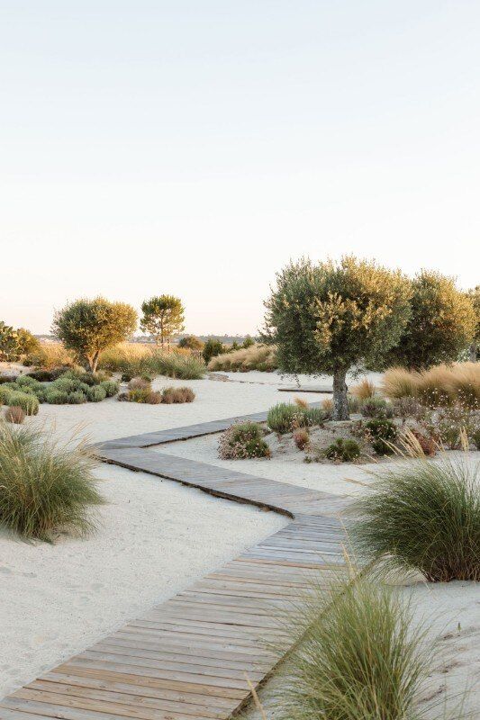 Creating a Contemporary Outdoor Oasis: The Art of Modern Landscaping