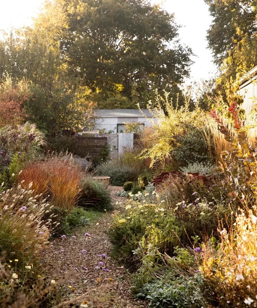 front garden small