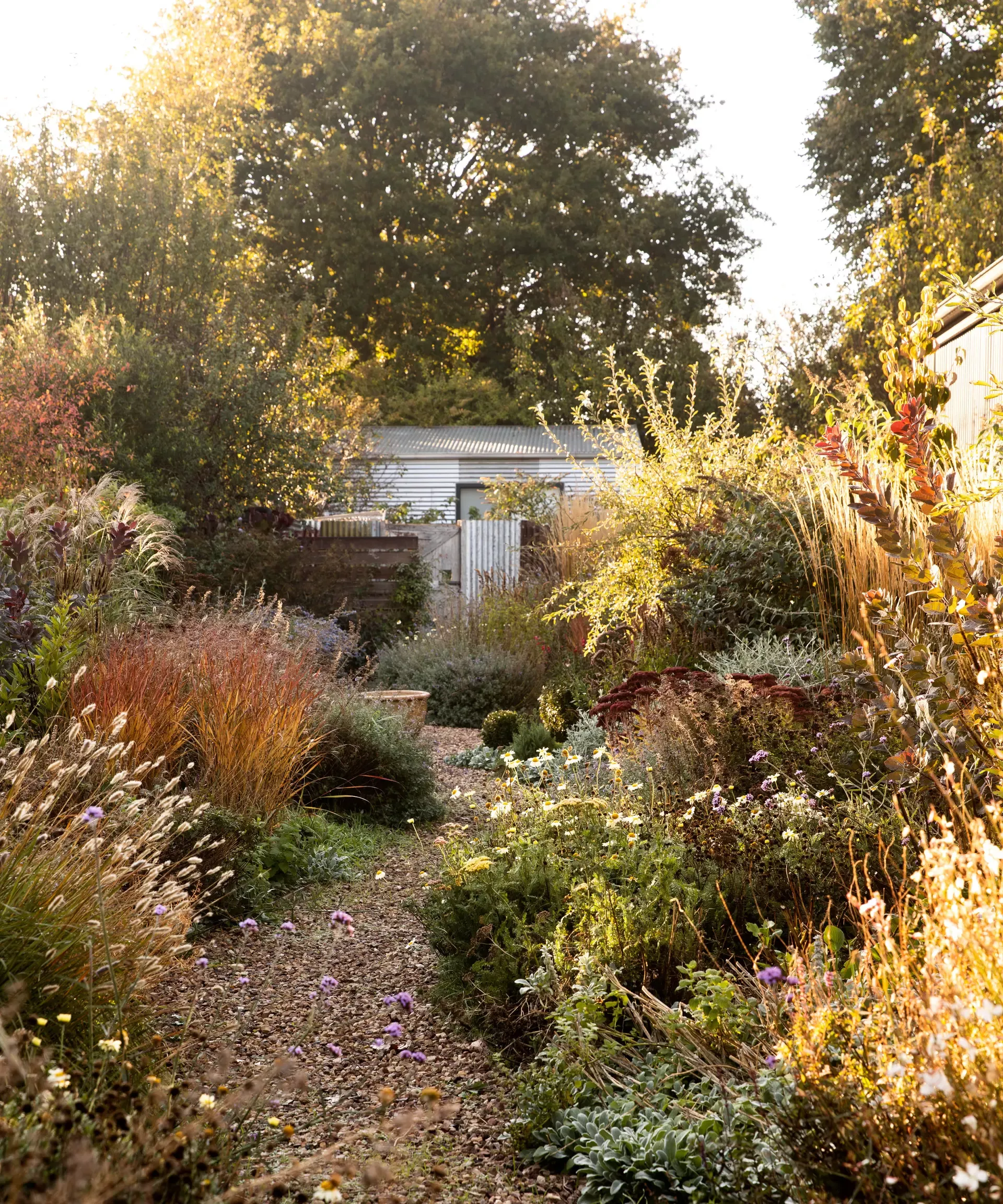 Creating a Cozy, Charming Front Garden