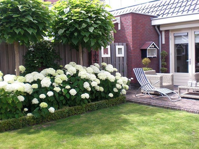 Creating a Cozy Garden Space at the Front of Your Home