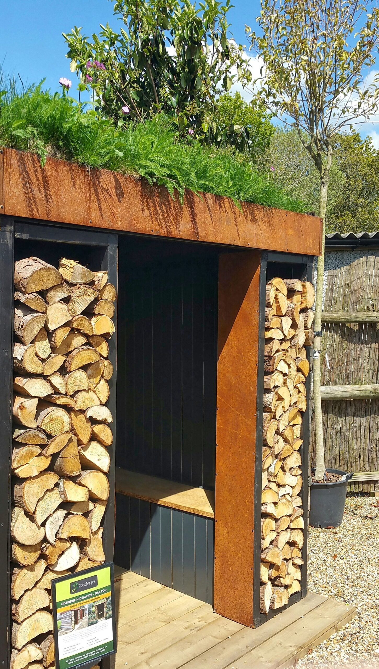 Creating a Cozy Hangout Area in Your Garden with a Shelter