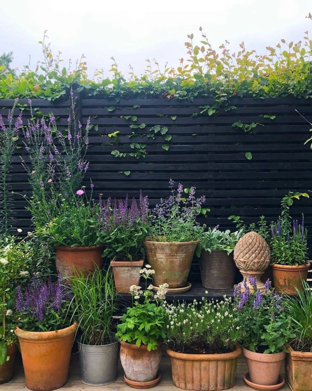 Tips for Maximizing Your Tiny Garden Space