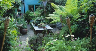 small patio garden