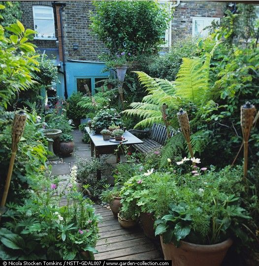 Creating a Cozy Oasis: Tips for a Tiny Patio Garden