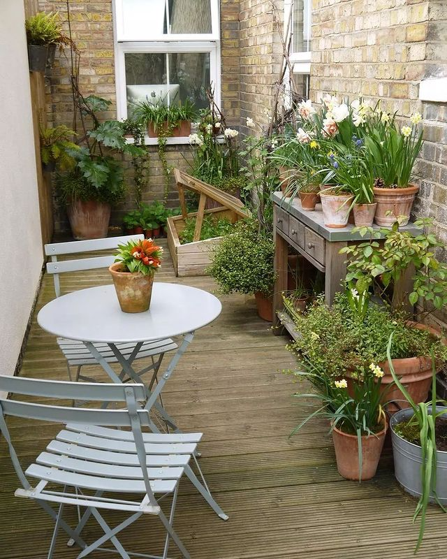 small patio garden