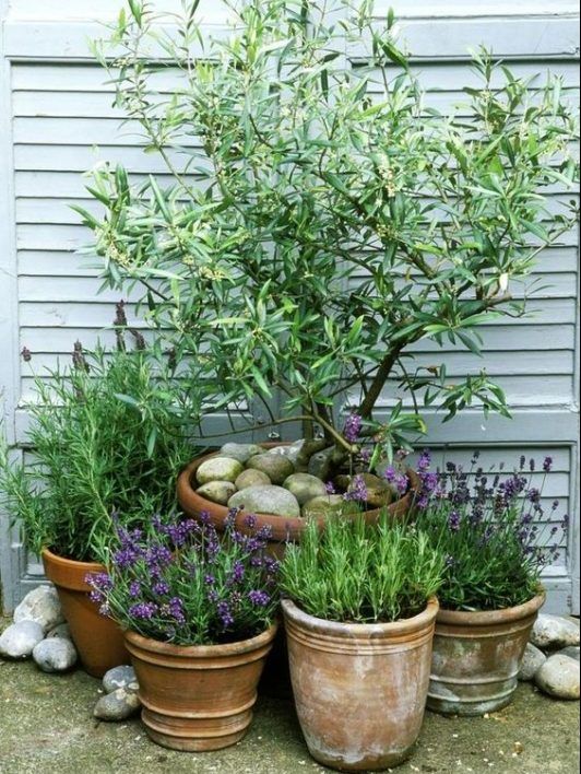 small patio garden