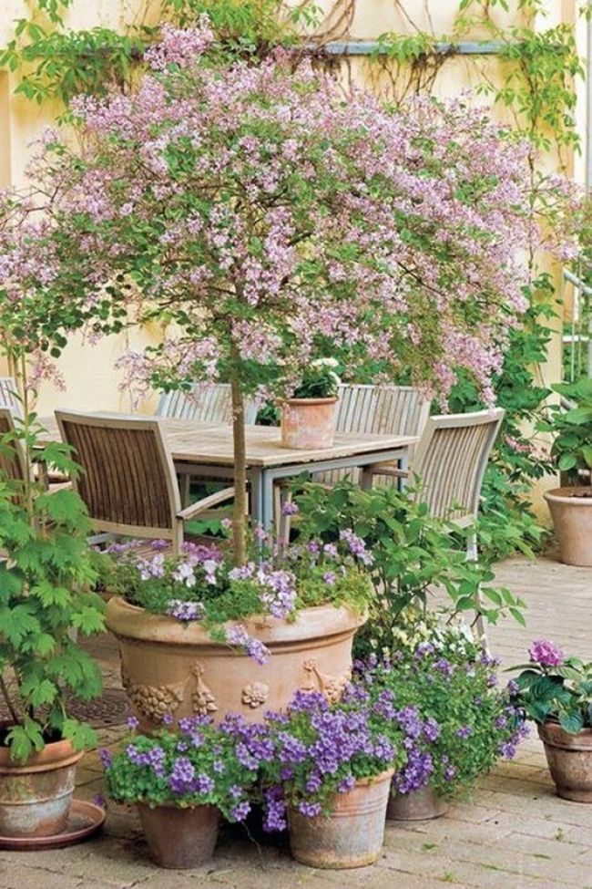 Creative Ways to Make the Most of Your Little Garden