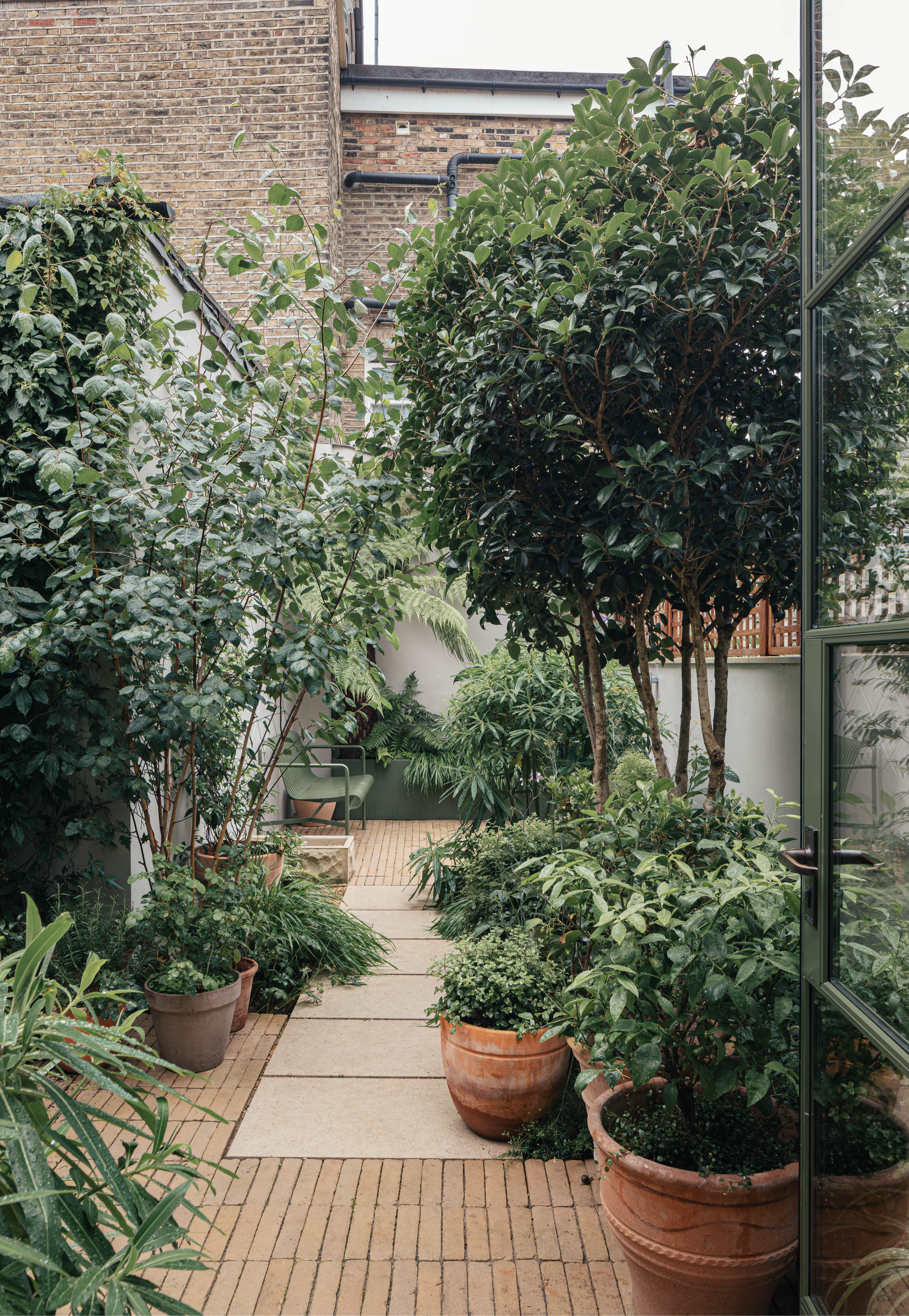 Creating a Cozy Outdoor Oasis: The Charm of a Small Patio Garden