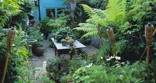 small garden patio