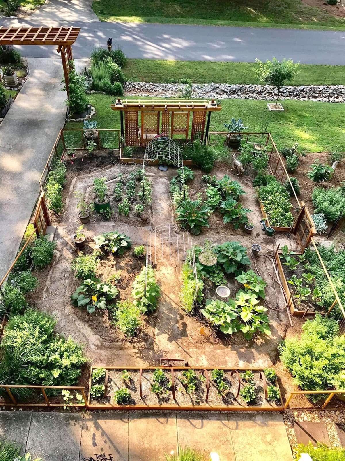 Creating a Cozy Outdoor Sanctuary: Small Garden Layout Ideas