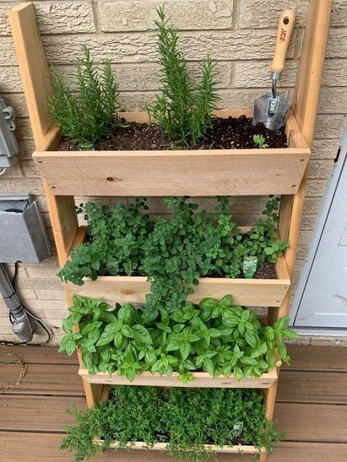 Creating a Cozy Patio Garden: Tips for a Tiny Outdoor Oasis