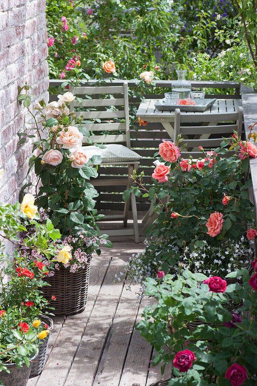 Creating a Cozy and Stylish Patio Garden