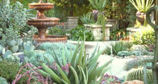 backyard xeriscape ideas