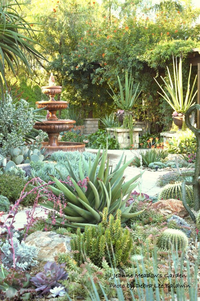 backyard xeriscape ideas