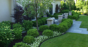 front yard landscaping design