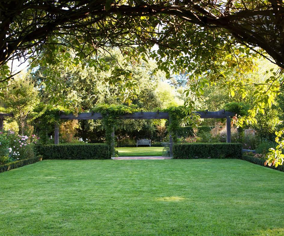 Creating a Grand Oasis: Transforming Your Backyard into a Spacious and Lush Retreat