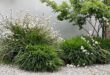 small garden design low maintenance