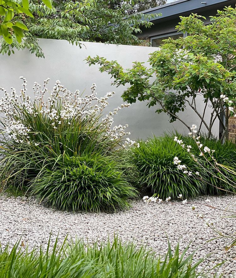 Creating a Low-Maintenance Design for a Small Garden