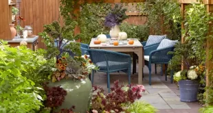 small garden design low maintenance