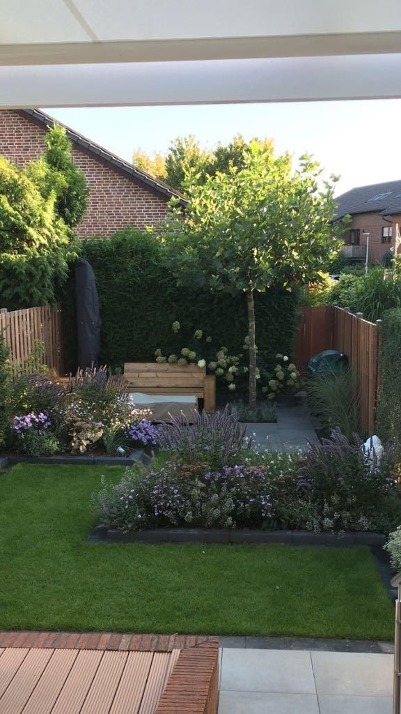 Creating a Low-Maintenance Small Garden Haven