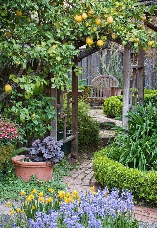 Creating a Lush Garden Oasis on Your Patio