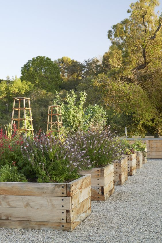 Creating a Lush Garden with Elevated Beds