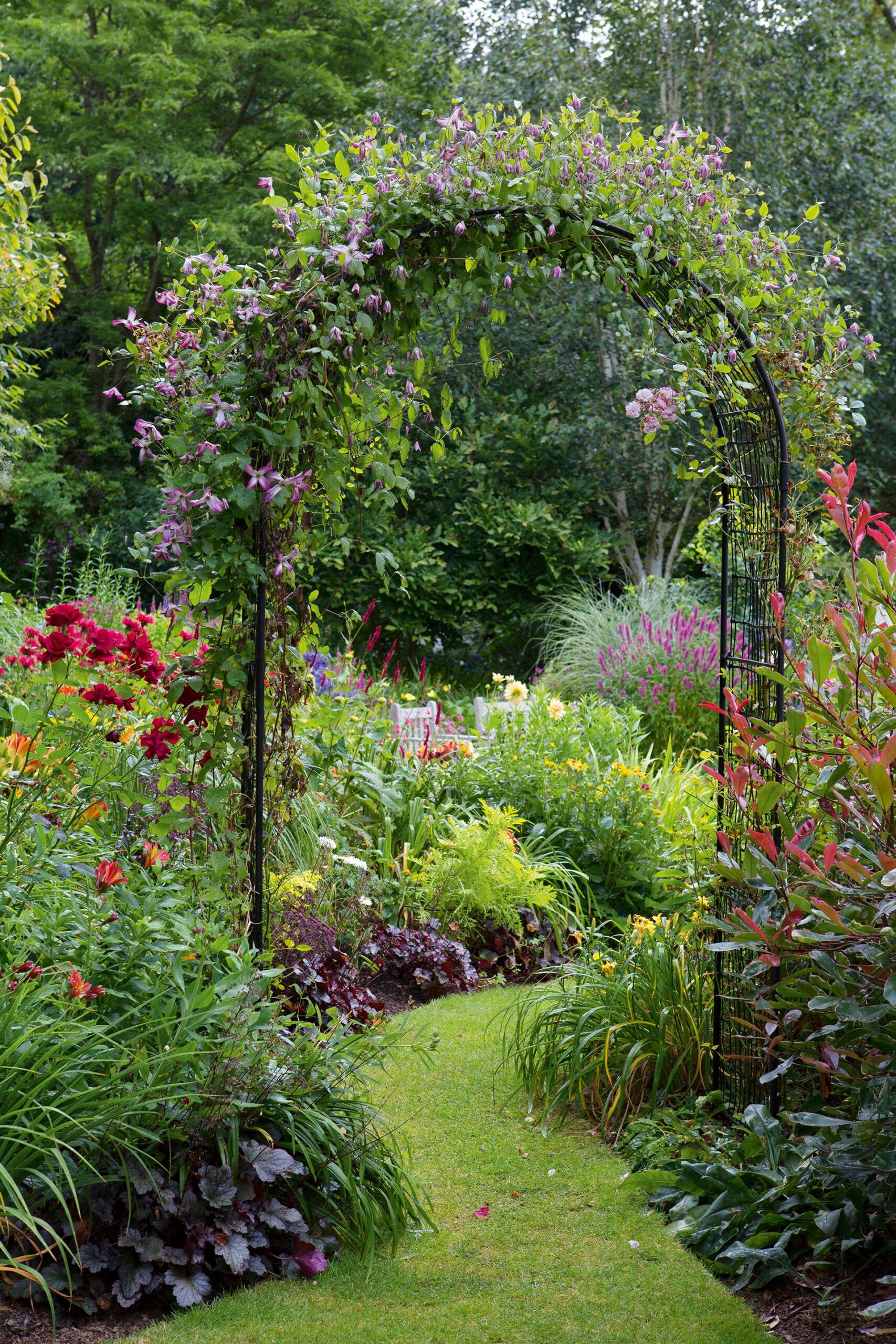 Creating a Lush and Vibrant Backyard Garden