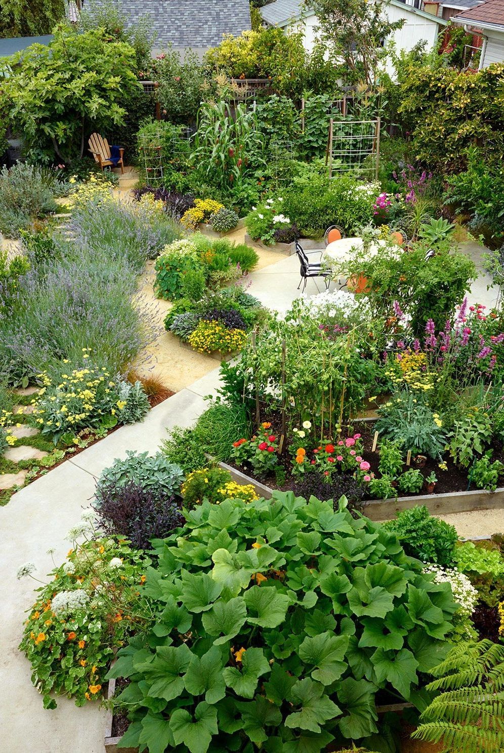 Creating a Lush Oasis in Your Own Backyard with a Beautiful Garden