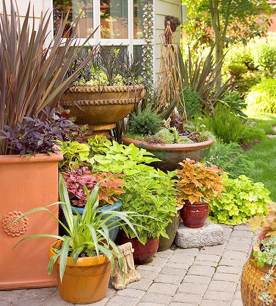 Creating a Lush Outdoor Oasis with Potted Plants