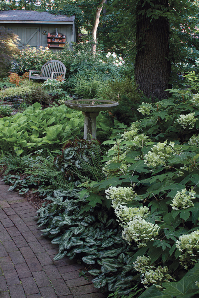 shade garden design