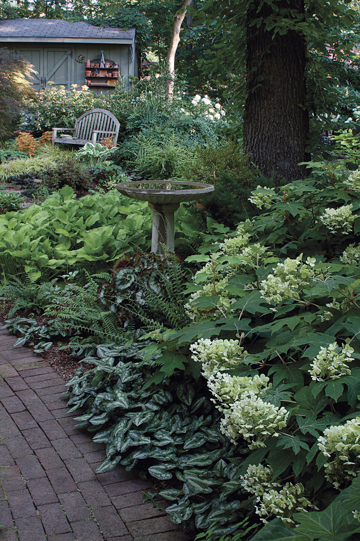 Creating a Lush and Serene Shade Garden: A Guide to Designing a Tranquil Outdoor Sanctuary