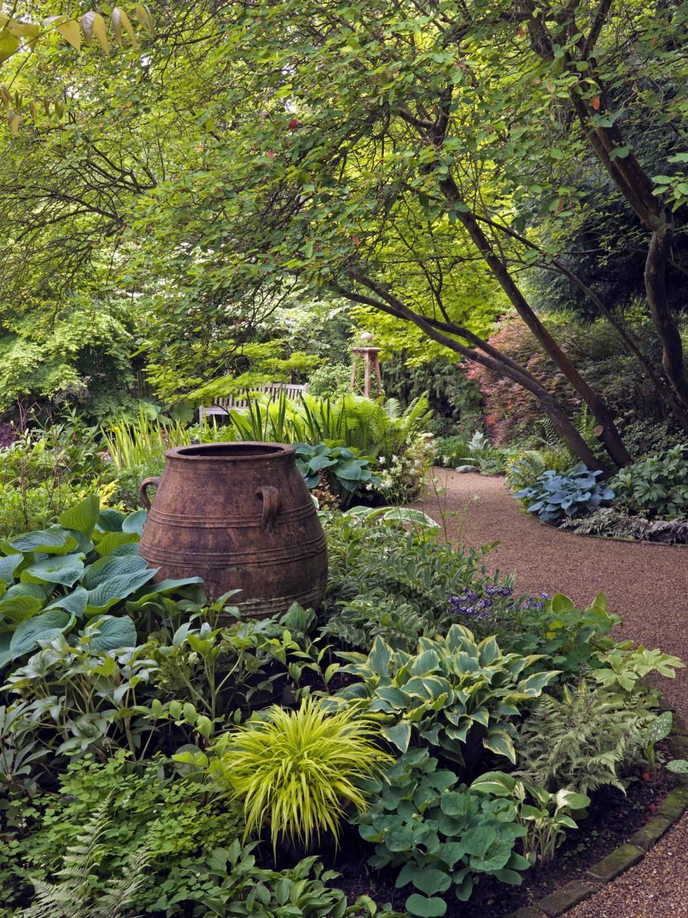 Creating a Lush and Tranquil Shade Garden: Tips for Designing a Beautiful Outdoor Oasis