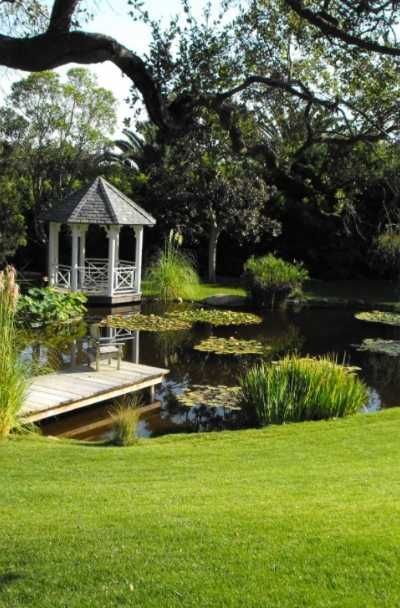 Creating a Peaceful Oasis: Backyard Ponds for Serenity and Relaxation